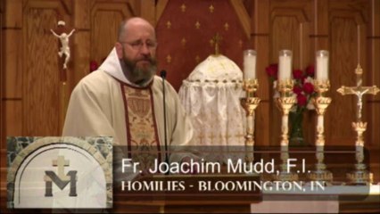 Oct 29 - Homily: Look to the Glory