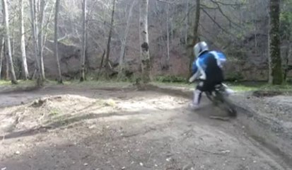 Regarde un arbre et il viendra à toi