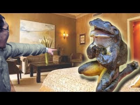 Student robbed by pimps after rejecting 'ugly' prostitute