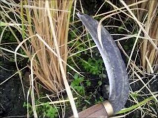 神によるクリスチャンへの裁き　最終選別