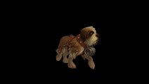 World of Warcraft (5.4.1): Mascotte Alterac Brew-pup