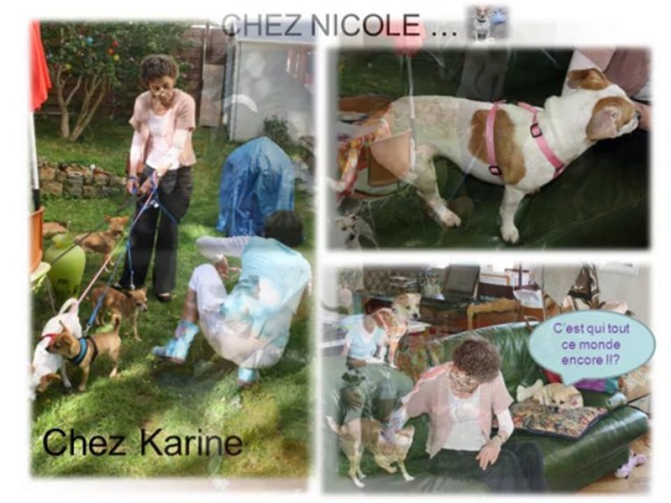 REPORTAGE SAUVETAGE ETATS-UNIS/ALERTE SOS 4 SEPT 2013