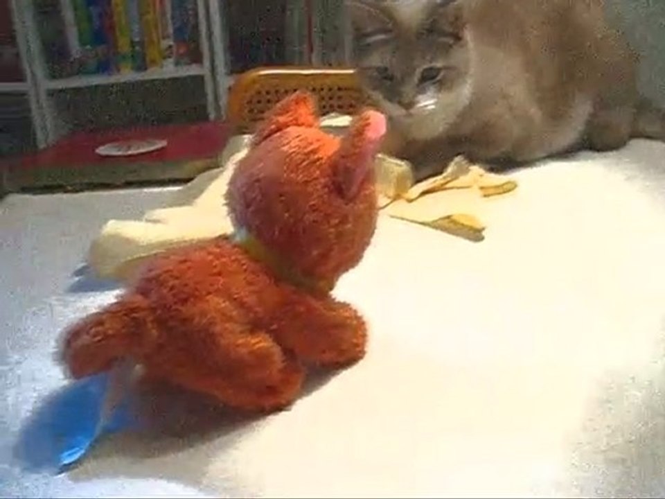Robot Cat