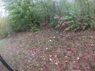 gros sanglier loupé