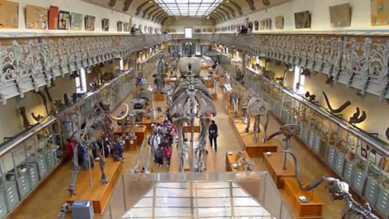La galerie de la Paléontologie - Paris