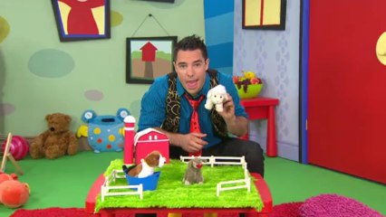 S0098694_8000k_dH264