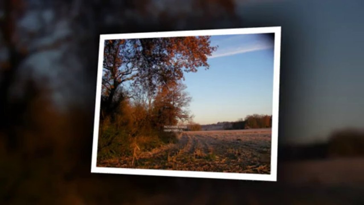 automne