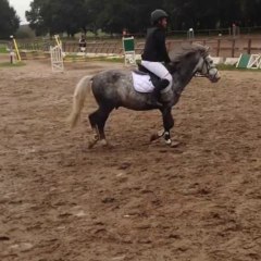 Strike douce compétition milly la forêt p2 dimanche 27 octobre 2013