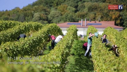 La Caméra en balade - Vendanges 2013 (29.10.2013)
