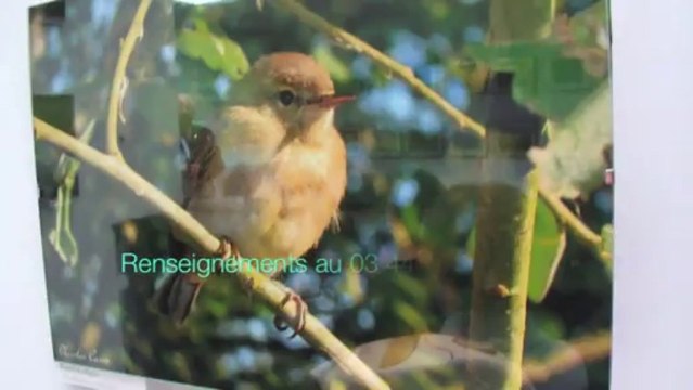 Clermont, exposition des marais de Sacy