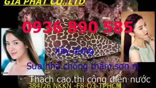 Tho chong tham dot nha o tai quan binh thanh-HCM/ 0936 890585