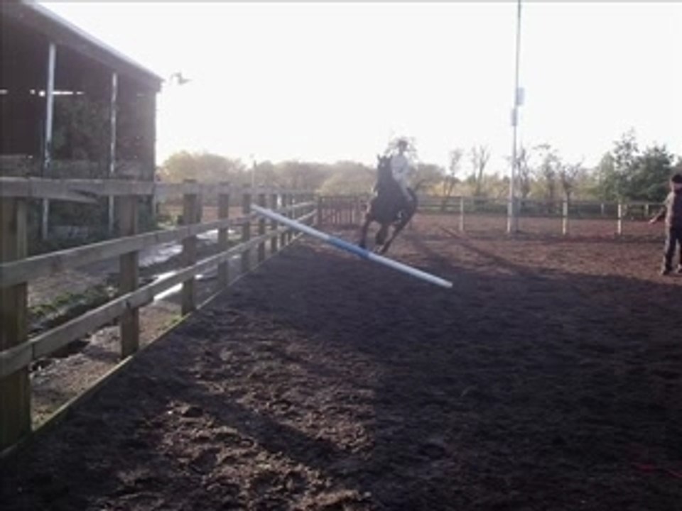 me n ma gorgeous horse 4eva