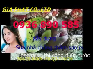 Tho chong tham dot nha o tai quan 3-HCM// 0907323053