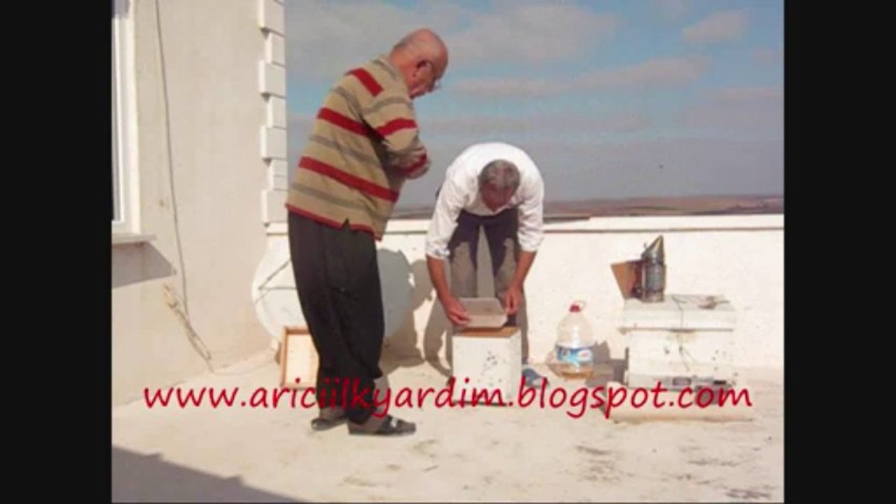 sakin arıyla çalışmak keyifdir.