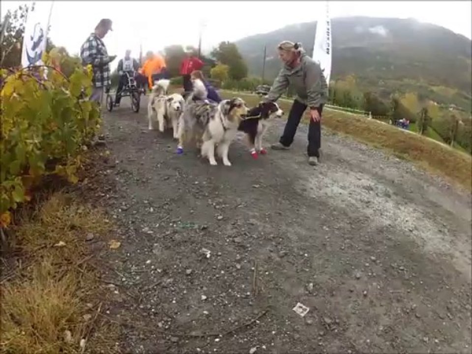 Les loustics à Ardon