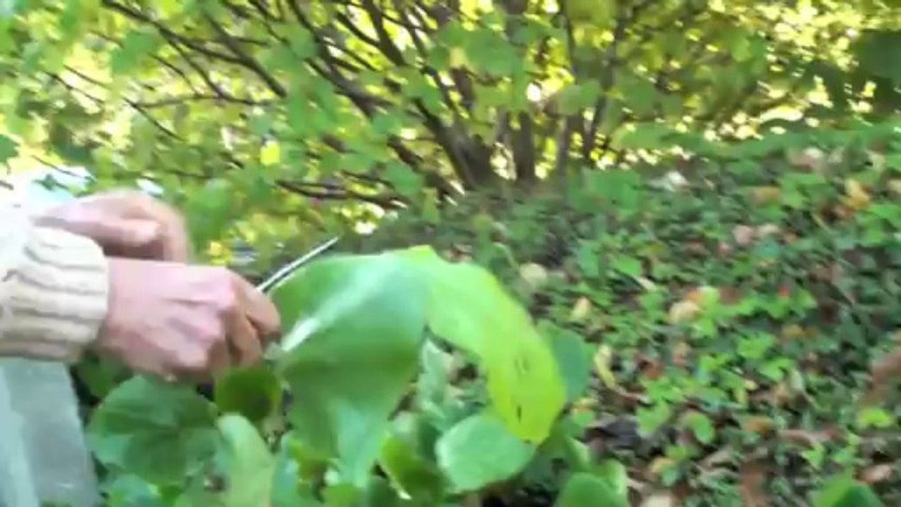 Le Jardin de Monique