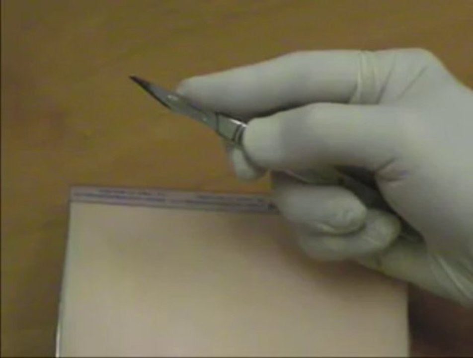 Scalpel_holding_and_cutting