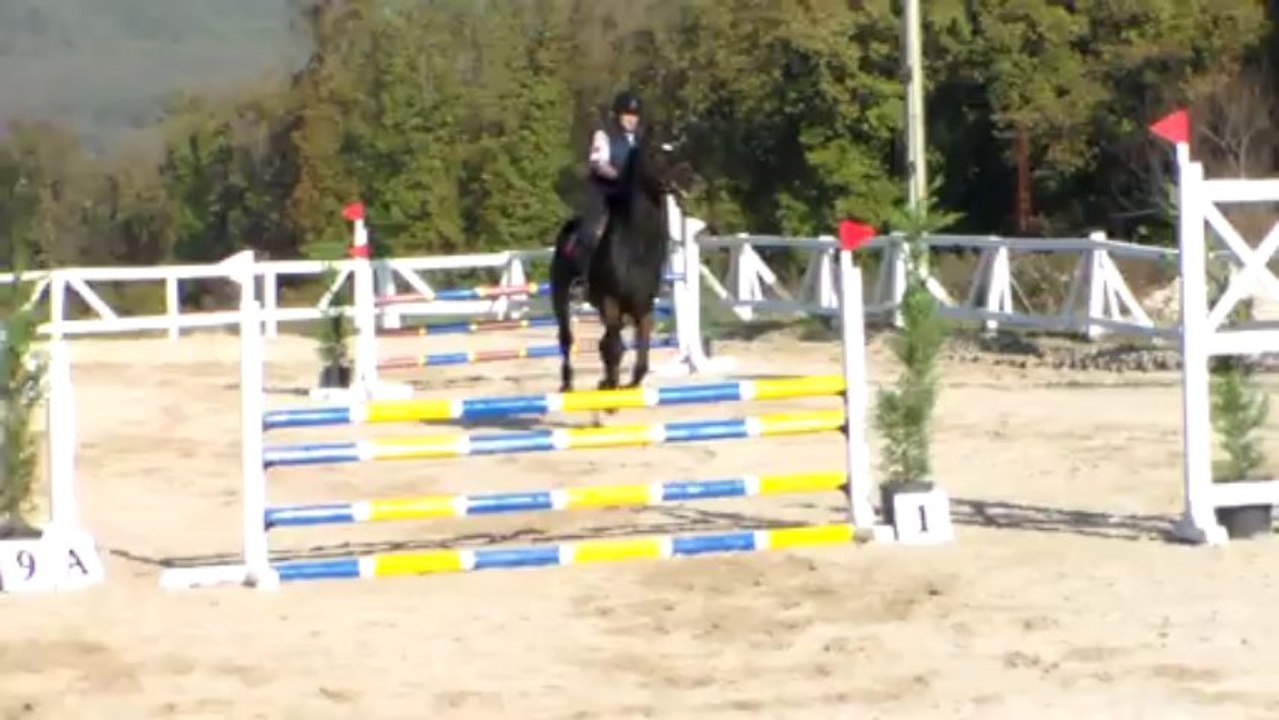Engin Erol-Alex6-1m