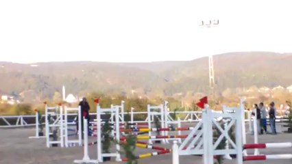 Mehmet Arda-Diktor 4sırık-1