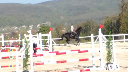 Mehmet Arda-Diktor-1m