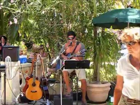 Cotton fields (CCR) cover