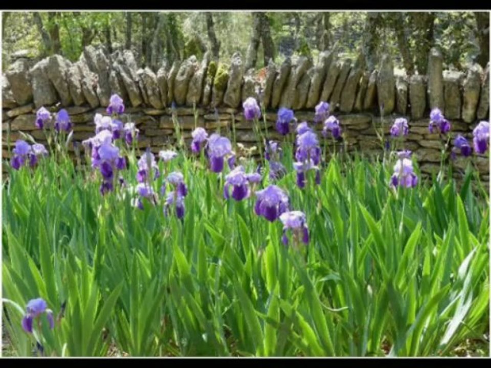 Homonymes H - I - J - K