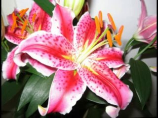 EZEQUIEL  CAP 22  - A BIBLIA NA LINGUAGEM DE HOJE