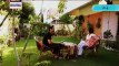 Sheher e Yaaran By Ary Digital Episode 16 - 29th October 2013 -480x360