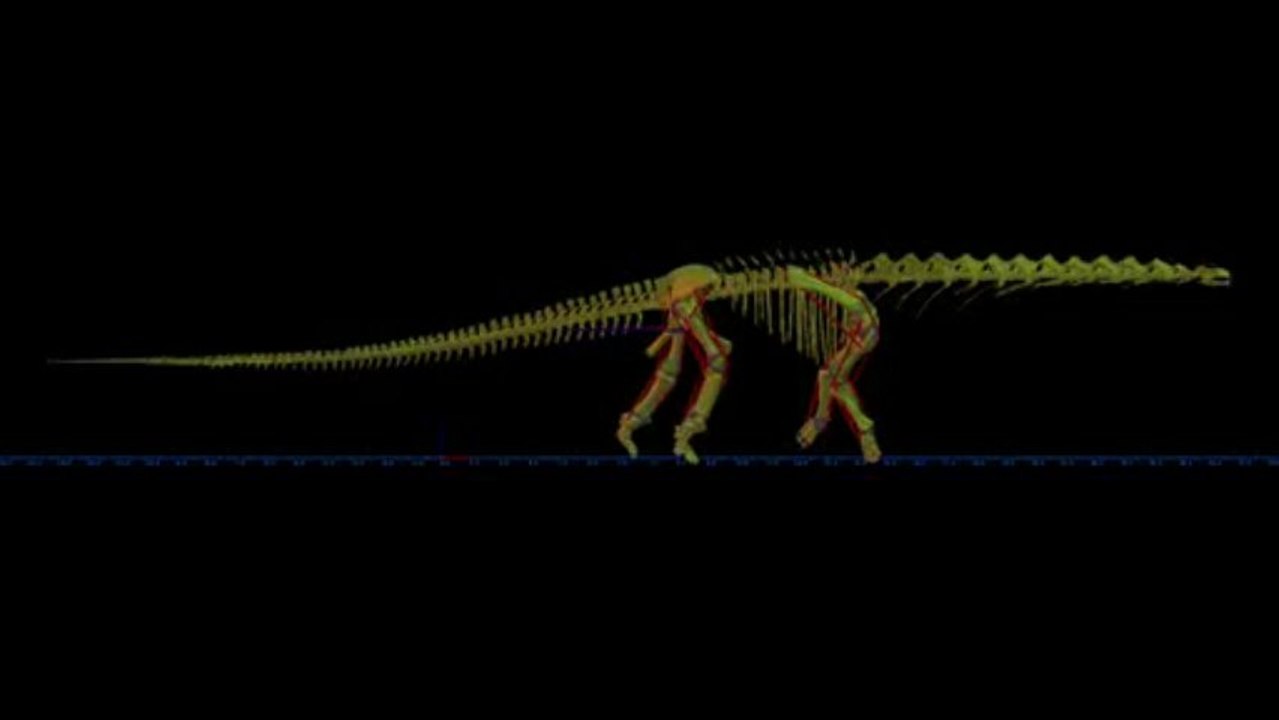 Les pas de géant d'un dinosaure de 40 mètres de long
