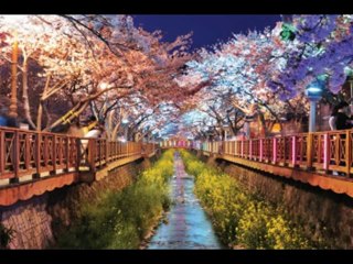 EZEQUIEL  CAP 31  - A BIBLIA NA LINGUAGEM DE HOJE