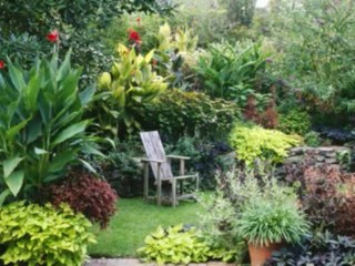 EZEQUIEL  CAP 38  - A BIBLIA NA LINGUAGEM DE HOJE