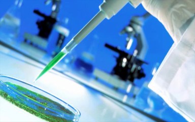 Recorded Jeunesse Presentation