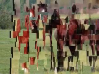 EL CORRIDO DE EL POLITO 2.0.1