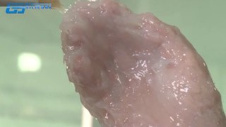 The process of making lifecasting