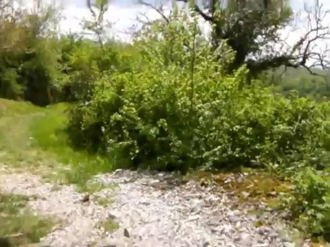 Deuxième pélerinage : du Puy en Velay à Santiago - 10 ème étape : de Beduer à Saint Jean de Laur.