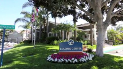 Island Club Apartments in Oceanside, CA - ForRent.com
