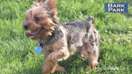 Stone Ridge Apartments in Indianapolis, IN - ForRent.com