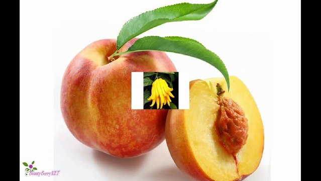 CHLOE ლო დე კლოი ტუალეტის წყალი სპრეი