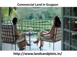 Commercial Plots In Noida @9650268727