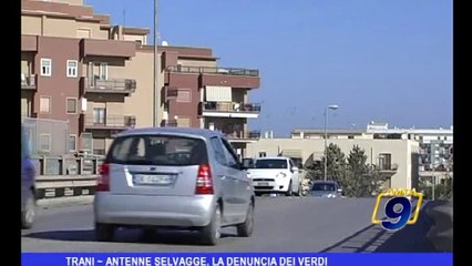 Trani | Antenne selvagge, la denuncia dei Verdi