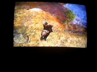 red dead redemption delire en compagnie de testiquon