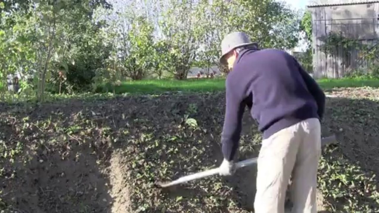 Le jardin de Monique 2