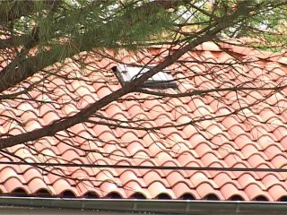 Rénovation énergétique d'une maison individuelle en Haute-Garonne