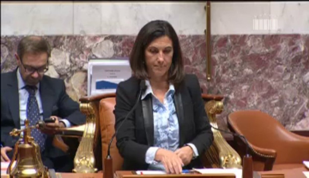 La réponse du ministre délégué aux Affaires européennes, Thierry Repentin à ma question sur la Taxe sur les transactions financières