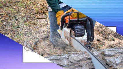 Outdoor Power Equipment New Holland PA