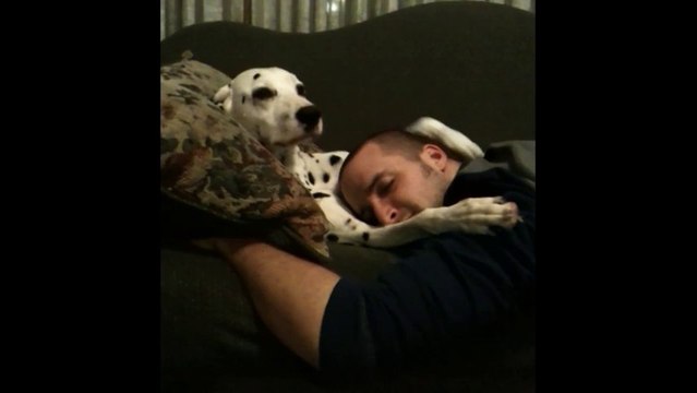 A cute Dog Hug a man... Good boy, good boy!