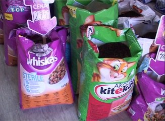 Sve za kućne ljubimce, 30. oktobar 2013.