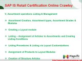 SAP IS Retail Certification Online Crawley