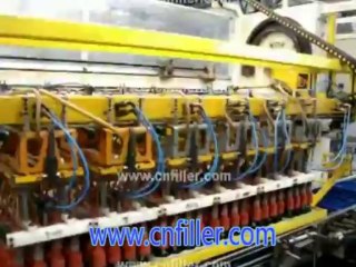 Case Packer Machine