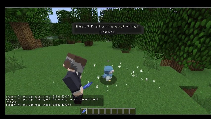 Dofus2 and Minecraft Friend